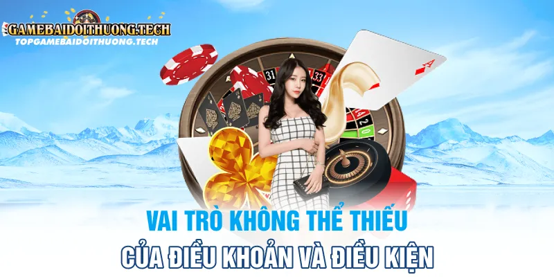 Vai trò không thể thiếu của điều khoản và điều kiện